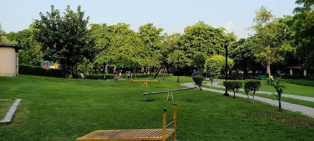 Apartment Delivery in Nirala Nagar, Lucknow — locality view 3